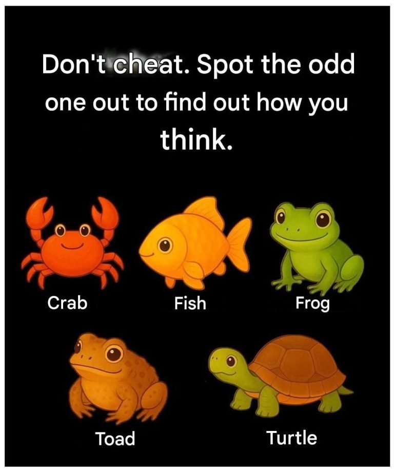 Don’t cheat. Spot the odd one out to understand your way of thinking.