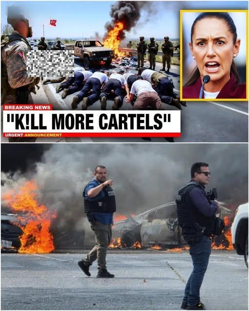 Security Operations in Uruapan: Separating Verified Facts from Viral Narratives