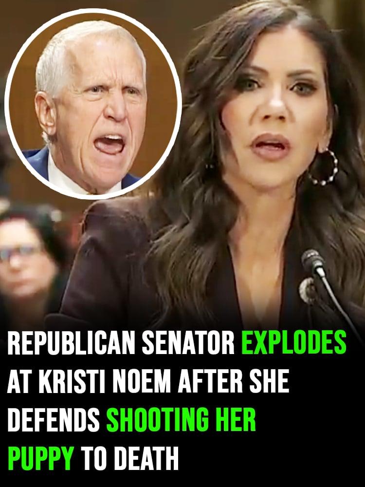 Republican Senator explodes at Kristi Noem after she defends shooting her puppy to death