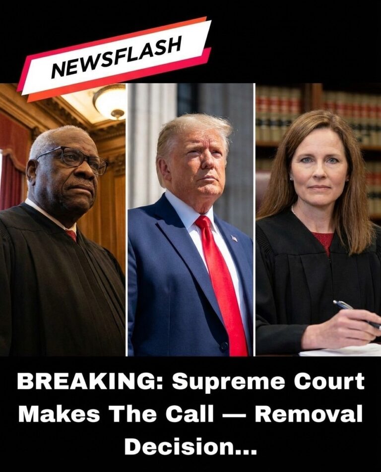 Supreme Court Ruling Changes How US Courts Review Asylum Appeals! See!