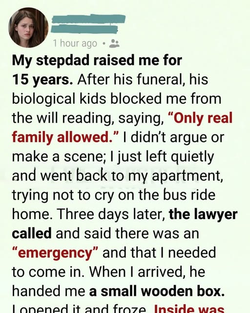 I Was Asked to Leave My Stepfather’s Will Reading. Three Days Later, a Phone Call Changed Everything I Thought I Knew