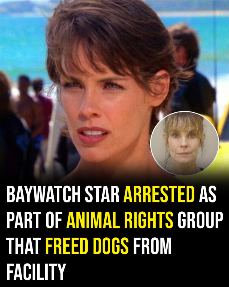 Baywatch star arrested as part of animal rights group