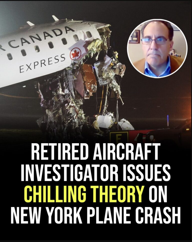 Retired aircraft accident investigator issues chilling theory on New York plane crash