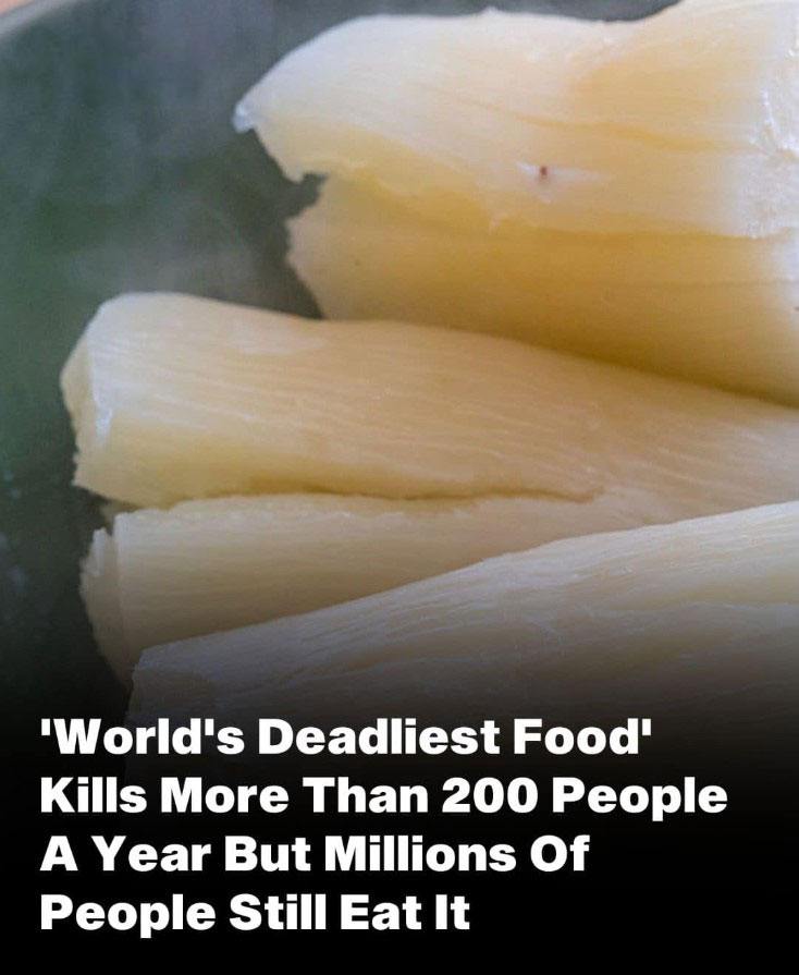 World’s “Deadliest Food” Kills 200 Each Year — And Millions Still Eat It