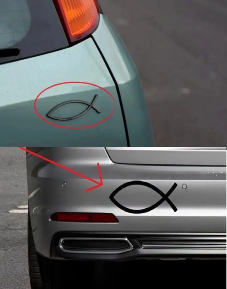 The Real Meaning Behind the Small Fish Symbol on Cars — And Why It’s Still Used Today
