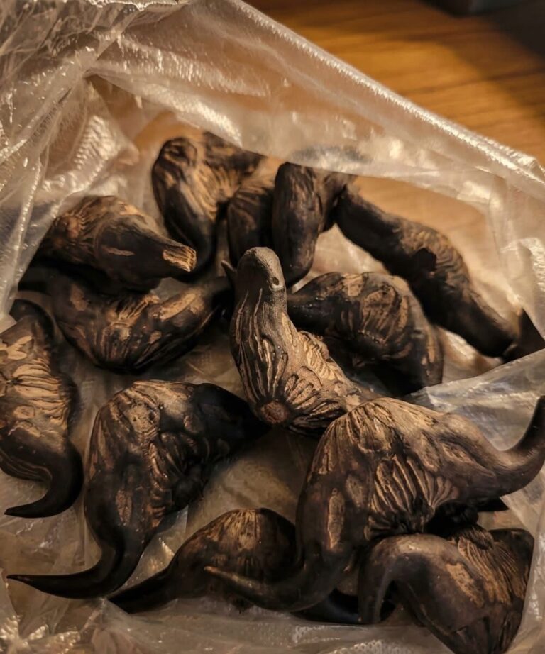My Neighbor Handed Me a Bag of These—and I Had No Idea What They Were at First