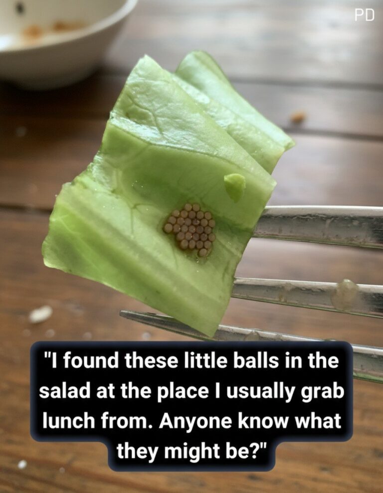 She Thought It Was Quinoa—Then She Looked Closer and Realized Something Was Very Wrong