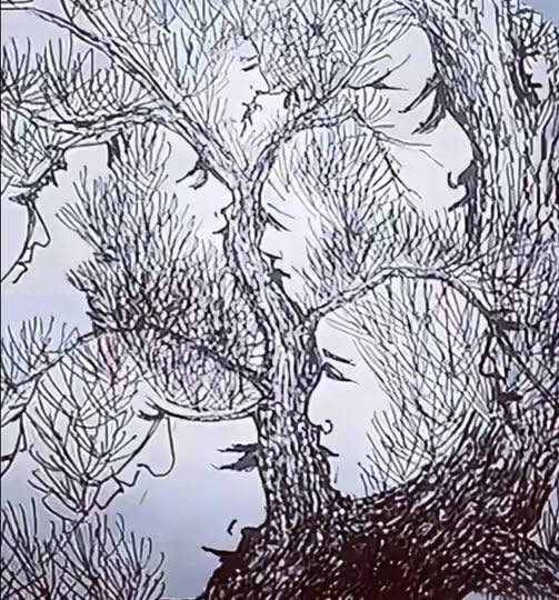 Only 0.1% of People Can Spot All the Hidden Faces — Can You?