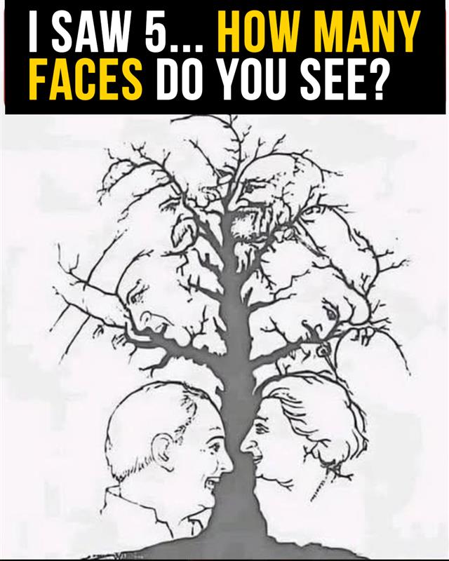 Can You Spot All the Hidden Faces in This Tree?