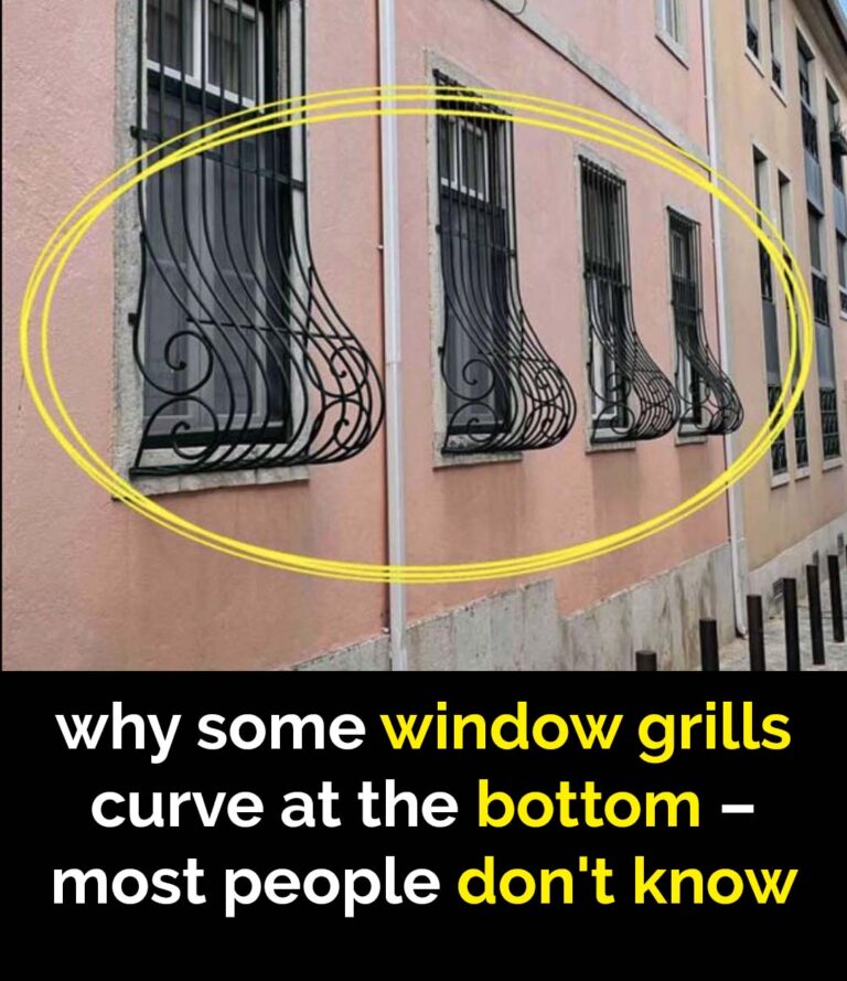Why Some Window Grills Have a Curve at the Bottom—Here’s the Reason