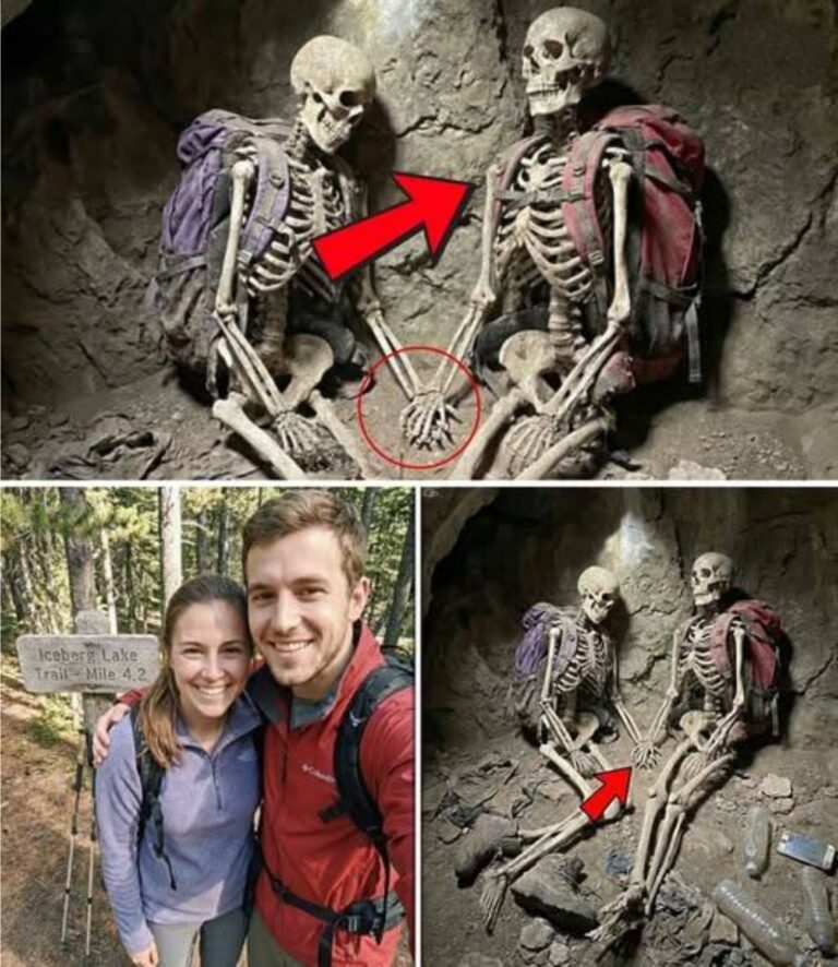 Missing Hiker Case Update: What Was Found Deep in the Mountains