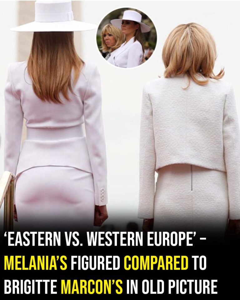 Resurfaced photo of Melania Trump sparks debate over “injected” look