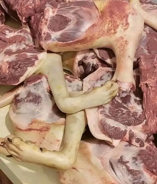 This Viral Meat Scandal Headline Misled Thousands, Here Is What Really Happened Behind the Panic