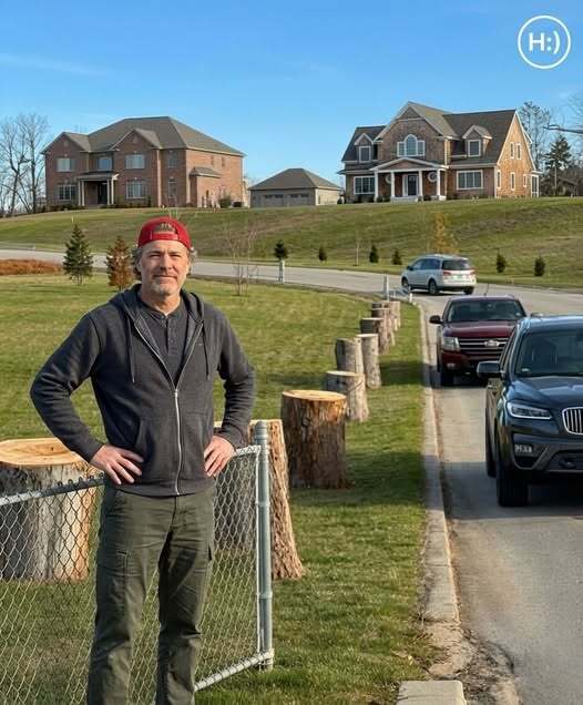 They Cut Down Trees That Had Stood on My Family’s Land for Forty Years Just to Improve Their View