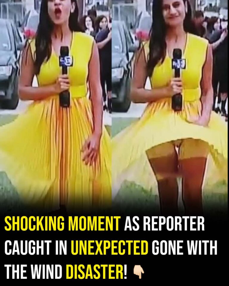 Viral moment: Reporter caught in unexpected Gone with the Wind disaster