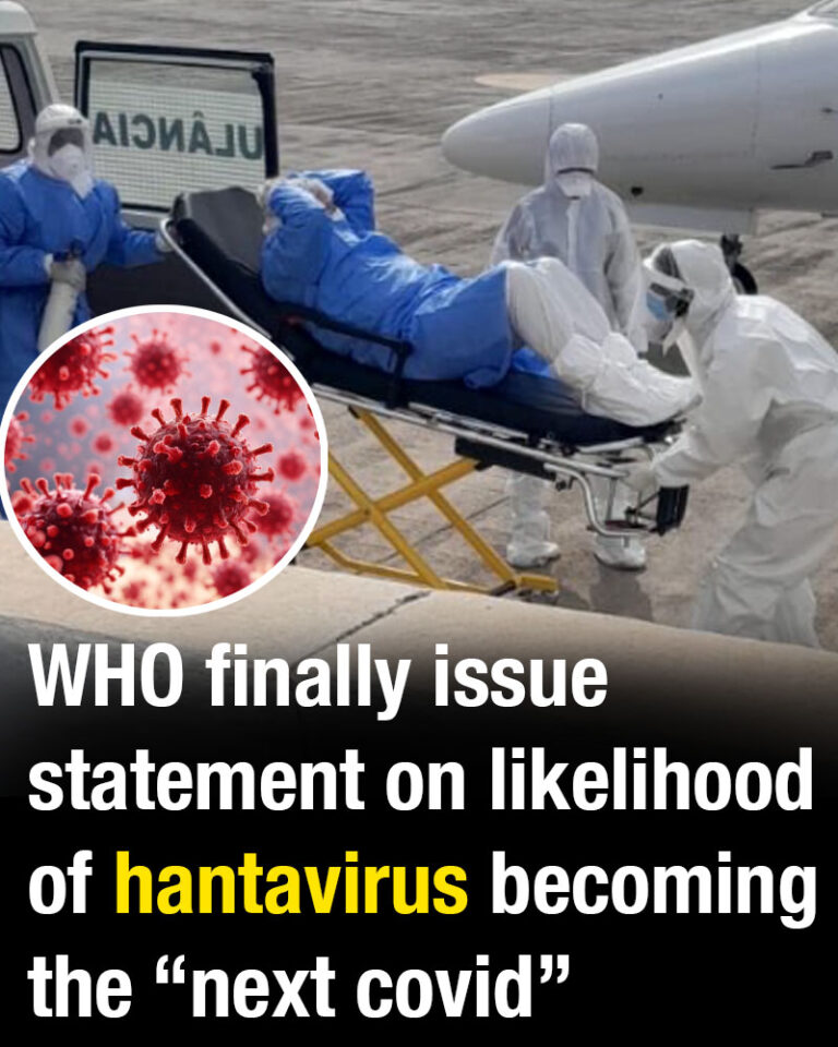 WHO Issues Update on Hantavirus and Public Health Risk Assessment-