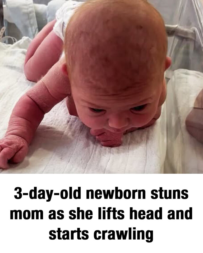 Newborn baby crawls across the hospital cot