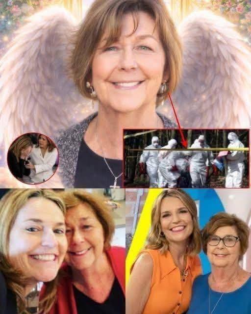 Family of Television Host Faces Emotional Search Effort After Elderly Mother’s Disappearance Sparks Nationwide Concern