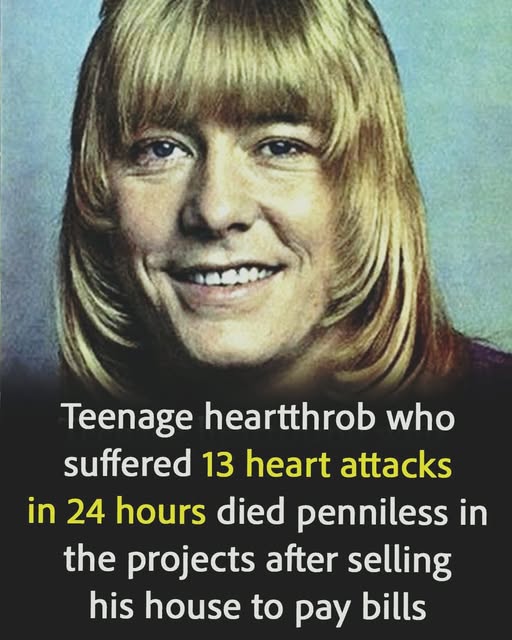 The life and career of Brian Connolly: from fame to later years