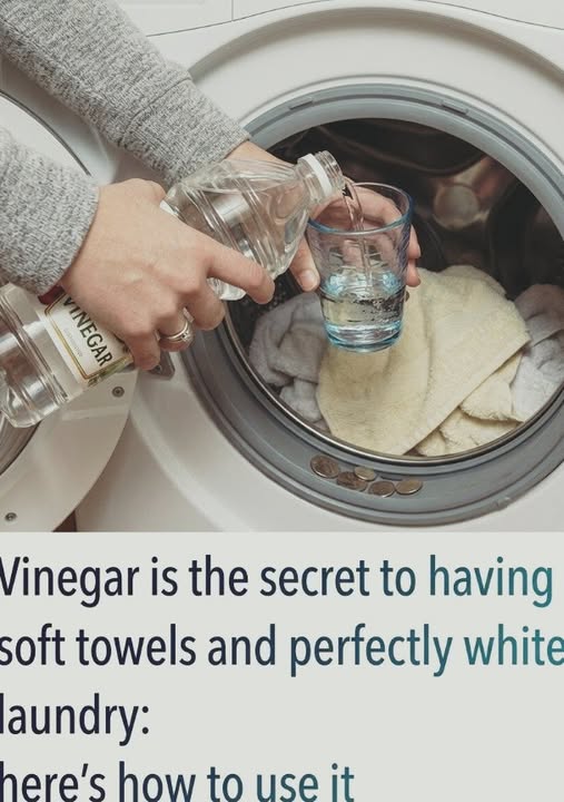The Hidden Reason Your Laundry Smells Musty — And the Simple Kitchen Ingredient That Can Help Fix It