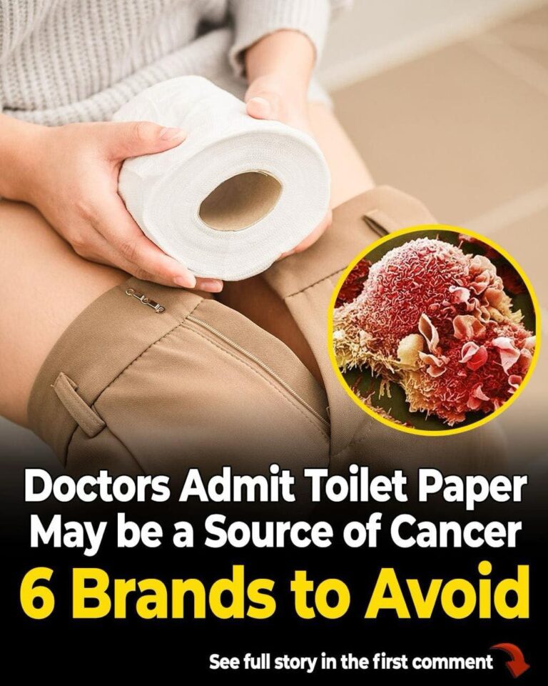 Toilet Paper May be a Source of Cancer-Linked PFAS. 6 Brands to Avoid