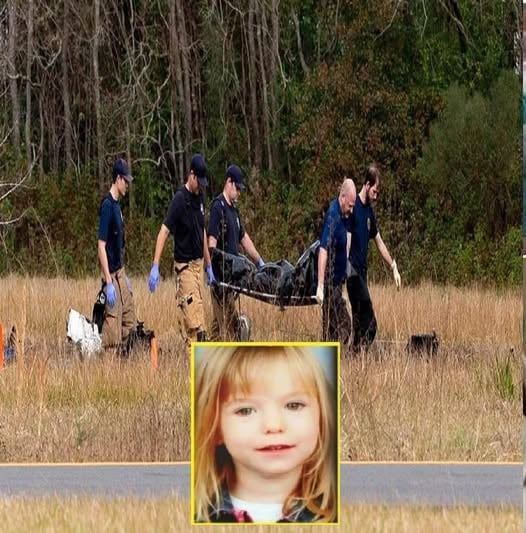 Missing girl found in the woods, her mother was the one who…