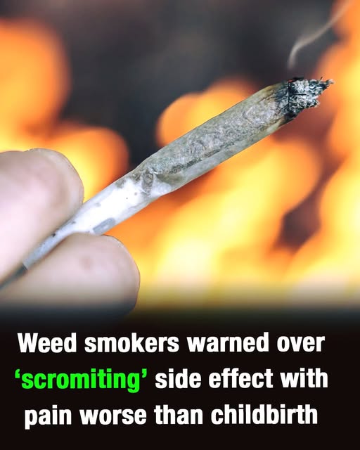 US Citizens Warned About Rare Cannabis Side Effect Known as ‘Scromiting’