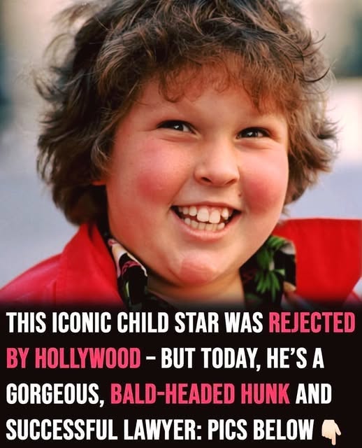 From Hollywood Actor to Legal Career: The Remarkable Journey of Chunk