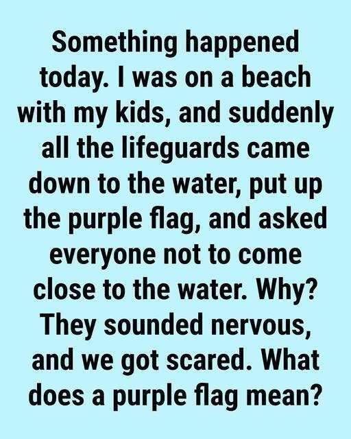 Why You Might See a Purple Flag Flying at the Beach