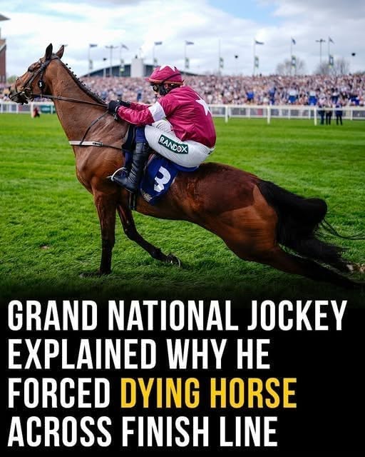 TRAGEDY AT AINTREE AS JOCKEY WHIPS DYING HORSE ACROSS FINISH LINE IN SHOCKING FINAL SECONDS OF LIVERPOOL RACE THAT LEFT VIEWERS IN TEARS
