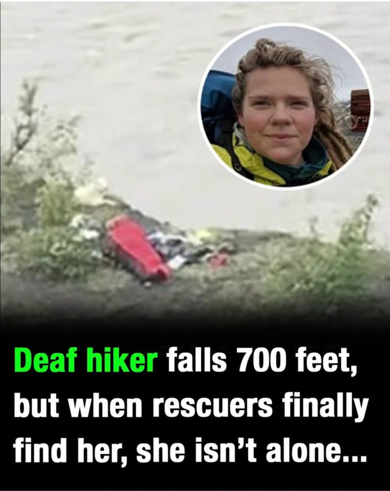 Deaf hiker falls 700 feet, but when rescuers finally find her, she isn’t alone