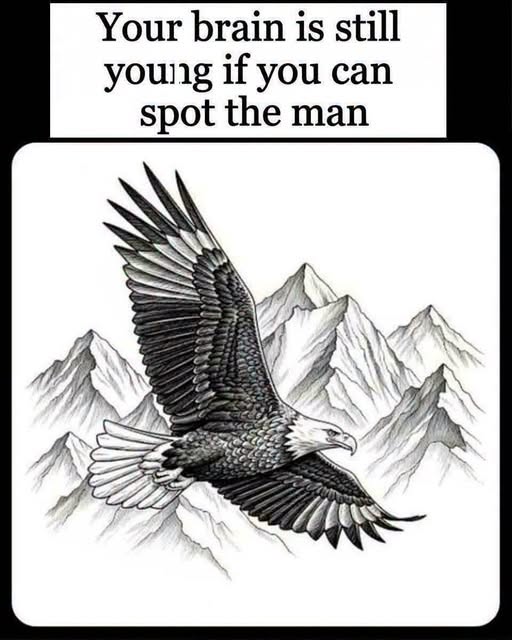 Can You Find the Hidden Figure in This Fascinating Eagle Illusion?